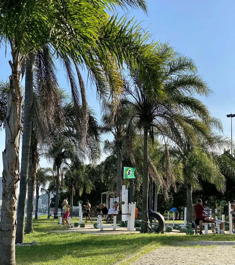 Outdoor training area among palm trees